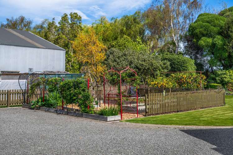 1237 Rapaura Road Spring Creek_27