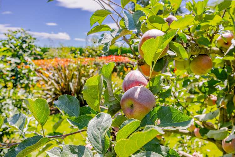 112A Mt Herbert Road Waipukurau_33