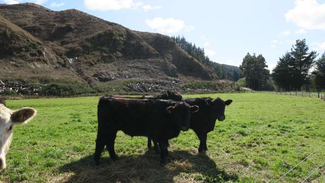 3957 Northbank Road Wairau Valley_3