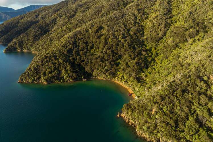 Cherry Bay, Ruakaka Bay Marlborough Sounds_34