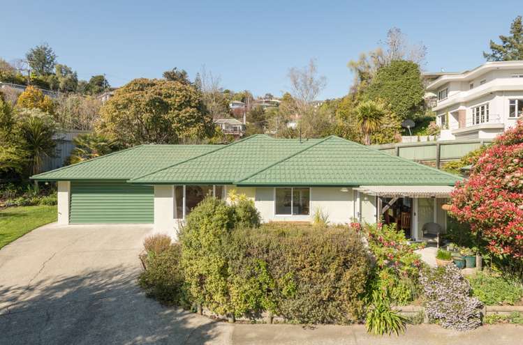 1 Tui Way Toi Toi_23