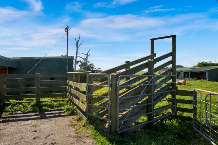 2585 South Road Otakeho_15