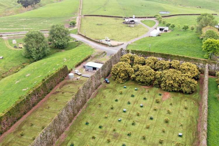 211 Pukekauri Road Waikino_20