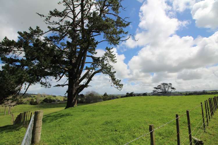 133 Colville Road Dargaville_12