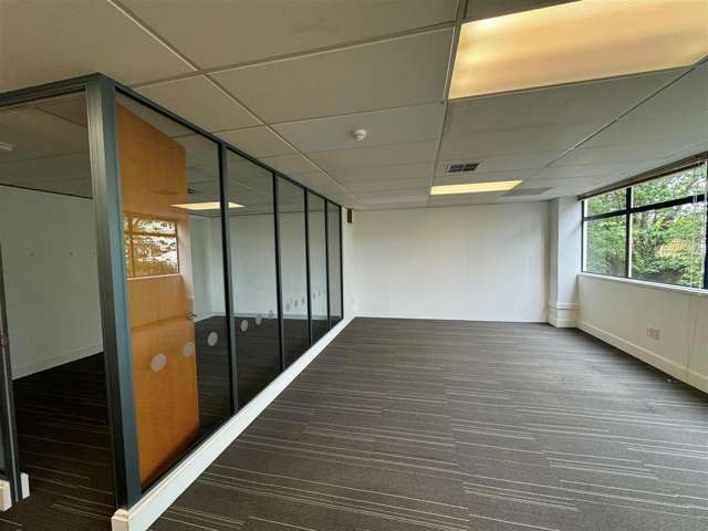 303 Manukau Road Epsom_1