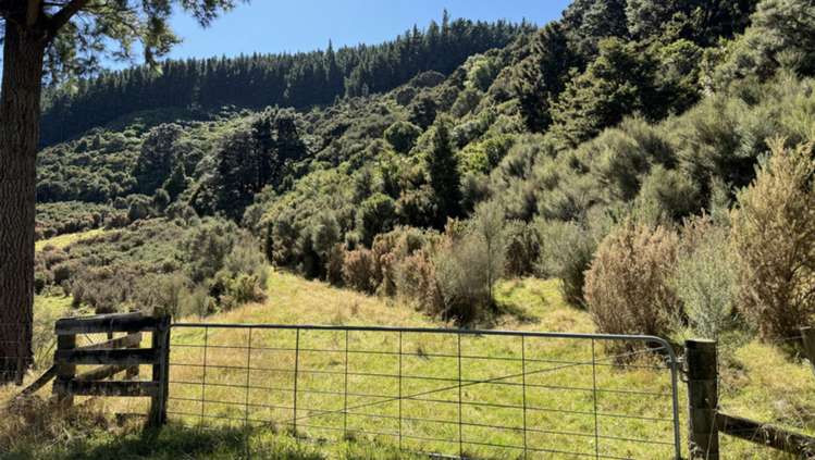 Waiohine Gorge Road Carterton_13