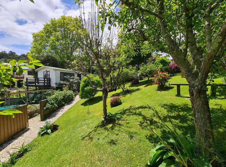 1225 Rings Road Coromandel_12