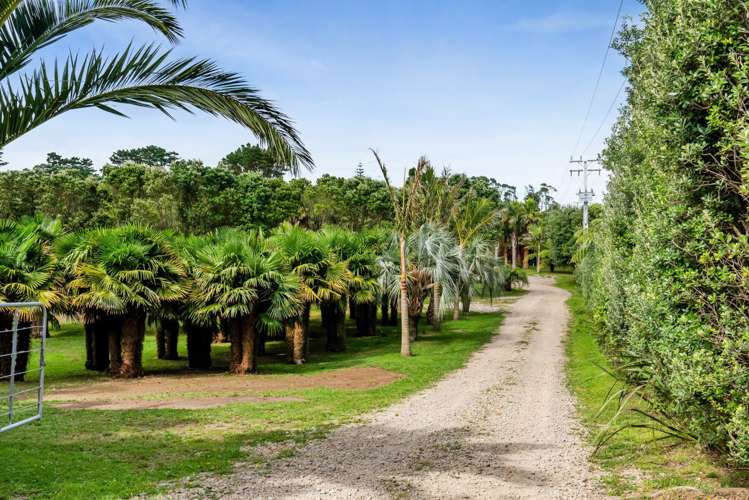 6388a South Road Pungarehu_11