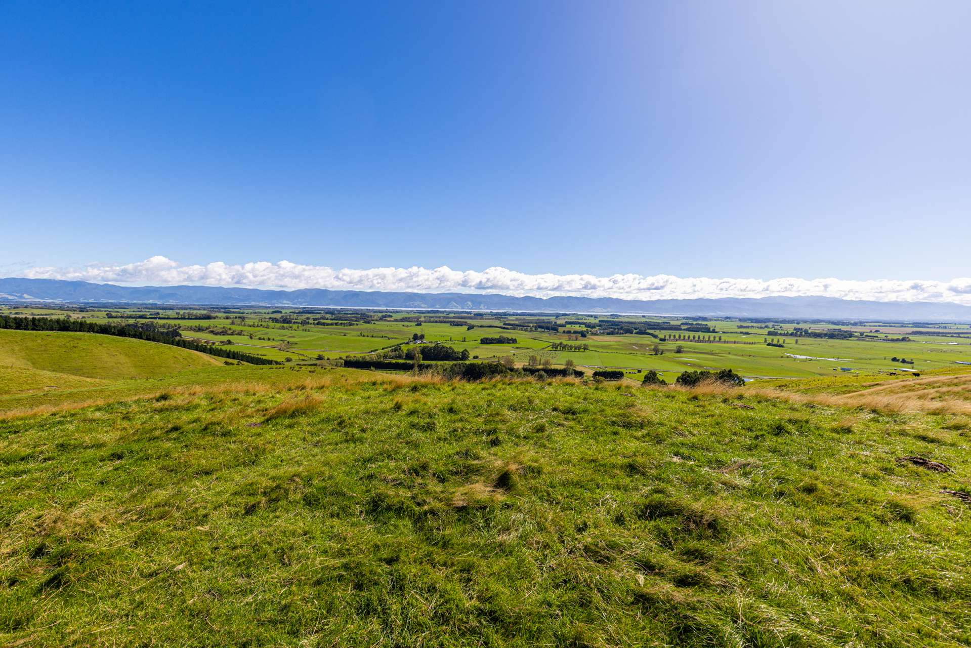 Lake Ferry Road Martinborough_0