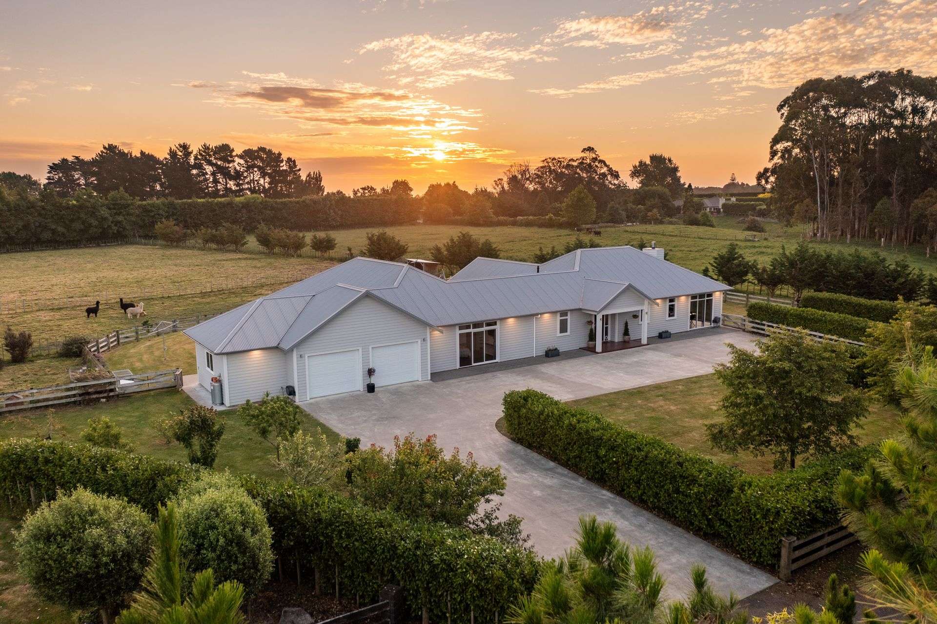 240A Blueskin Road Brunswick_0