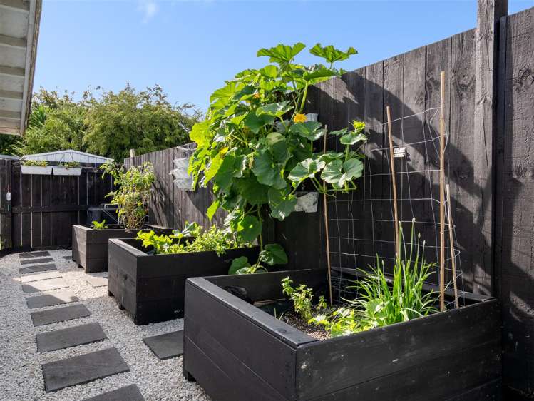 38a Dunlop Road Te Puke_12