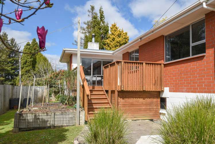 28 Utuhina Road Springfield_19