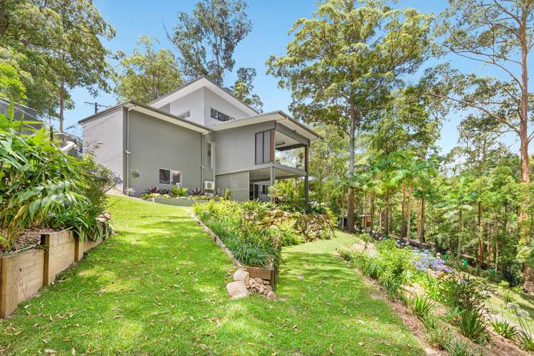 3 Orchis Drive Tamborine Mountain_28