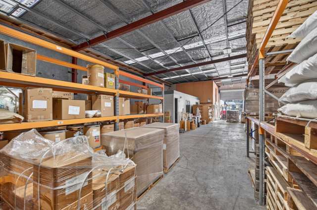 24 Byron Street Sydenham_4