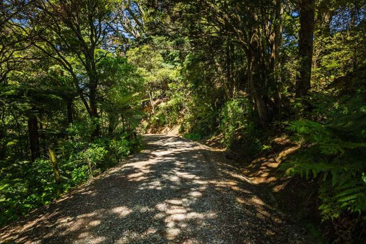 419 Hupara Road Pakaraka_35