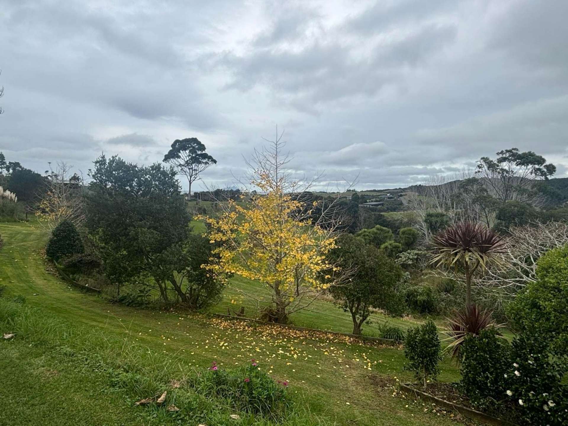 193 Prescott Road Ruakaka_0