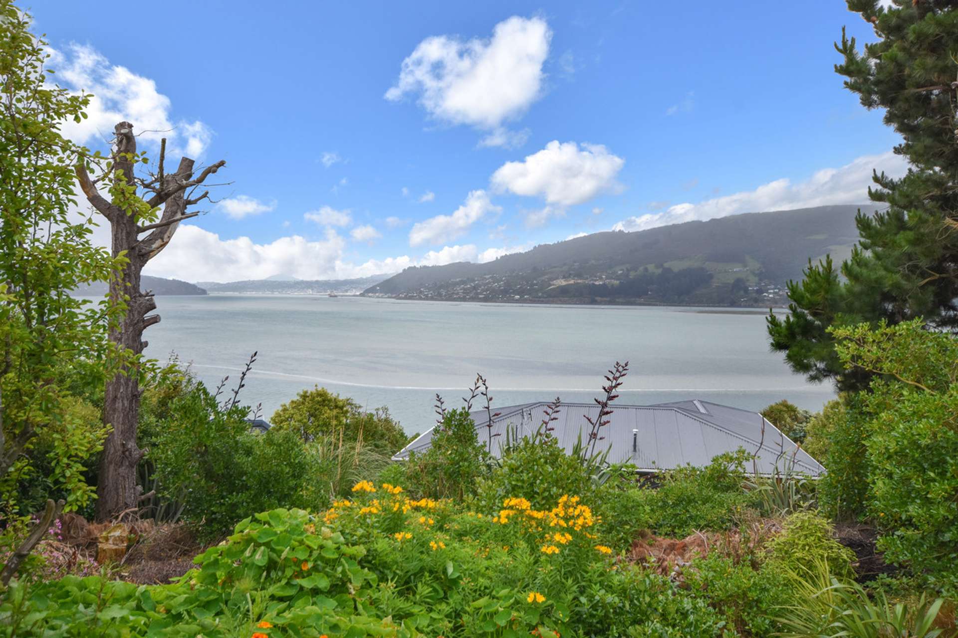 35 Bayne Terrace Macandrew Bay_0