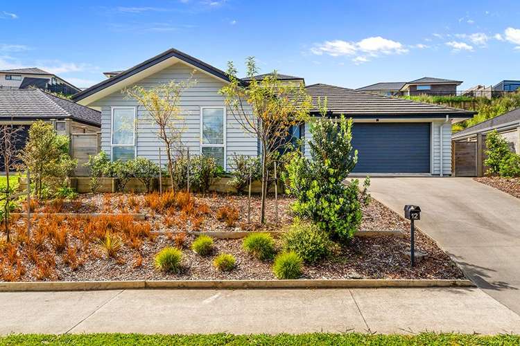 12 Ella Anne Crescent Warkworth_2