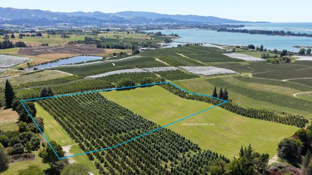 Sea Views, Orchard & Lifestyle Potential