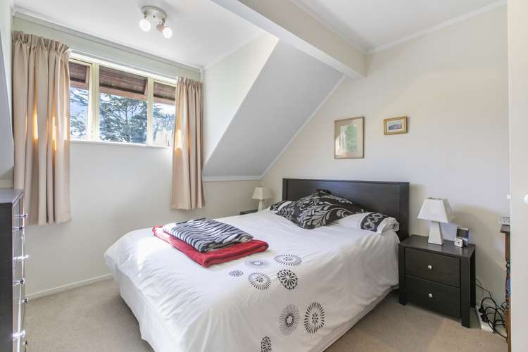 360b Kohimarama Road Saint Heliers_14
