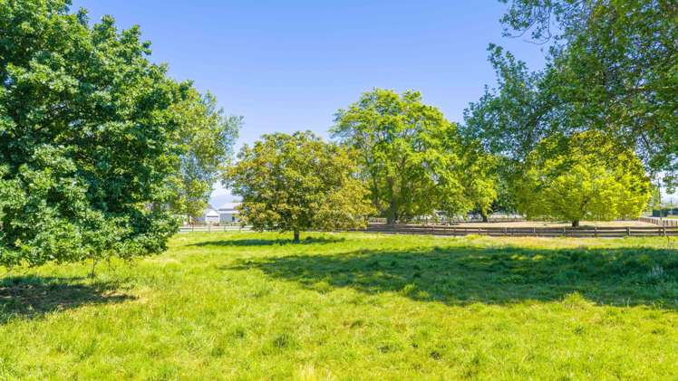 75 Ongaonga-Waipukurau Road Waipukurau_7