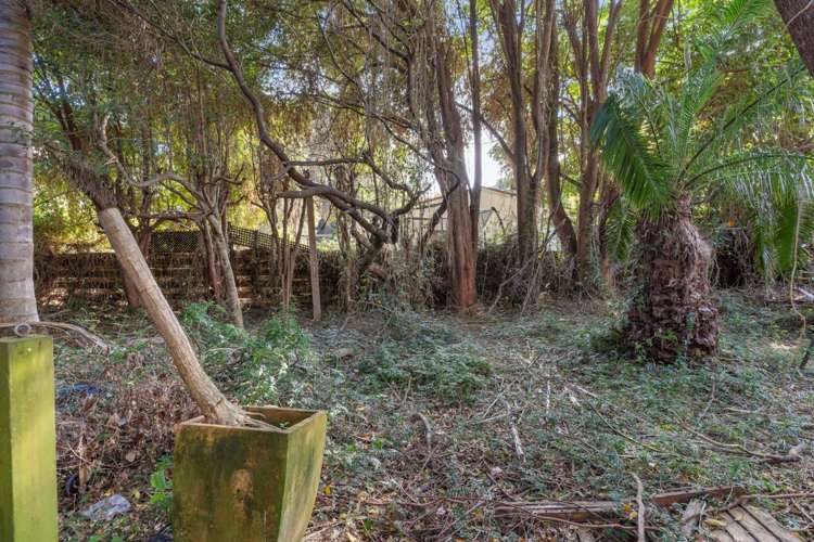 14 Vida Place Howick_16