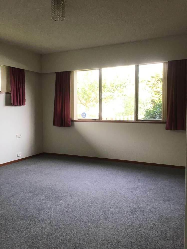 53 Young Street Morrinsville_6