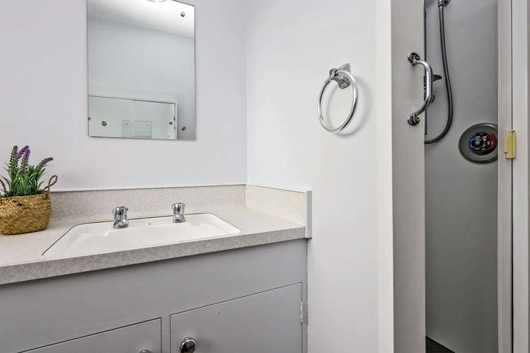 3/508 Avenue Road East Hastings_8