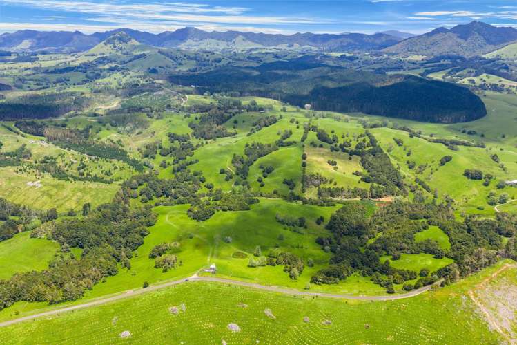 Norvil Road Titoki_4