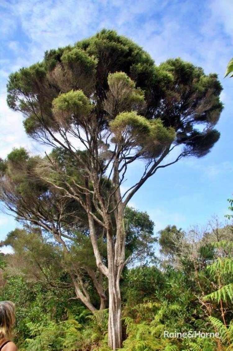 Trig Road Houhora Far North Rural Property For Sale One Roof