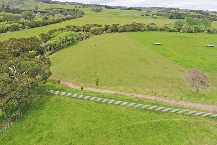 351 Mcnicol Road Clevedon_17