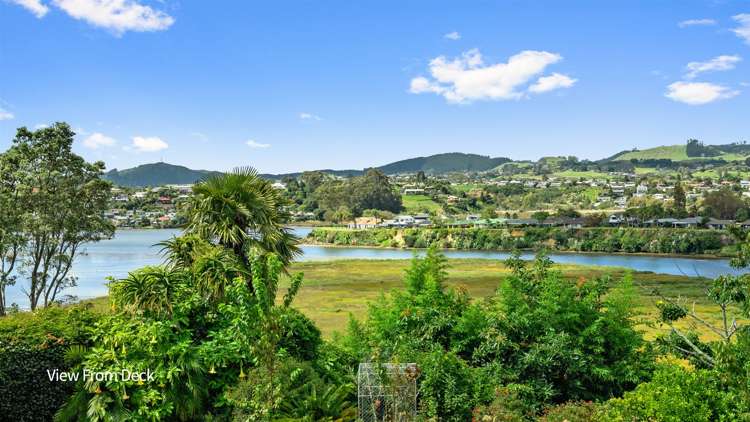 62 Harrier Street Parkvale_10