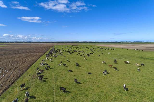 1085 Orton Rangitata Mouth Road Clandeboye_1