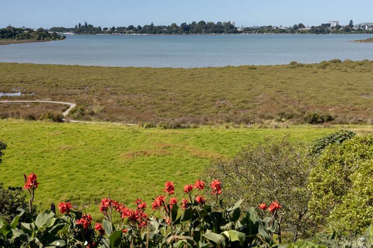 96a Darraghs Road Brookfield_5