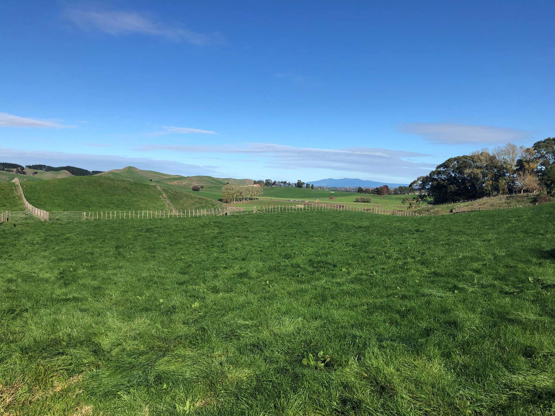 306 Tahuroa Road Tauwhare_0