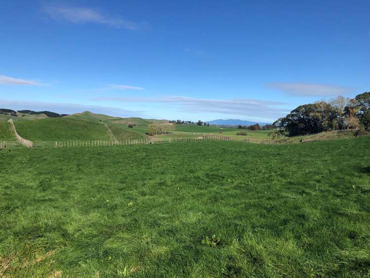 306 Tahuroa Road Tauwhare_0