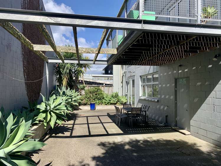 9 George Street Mt Eden_10