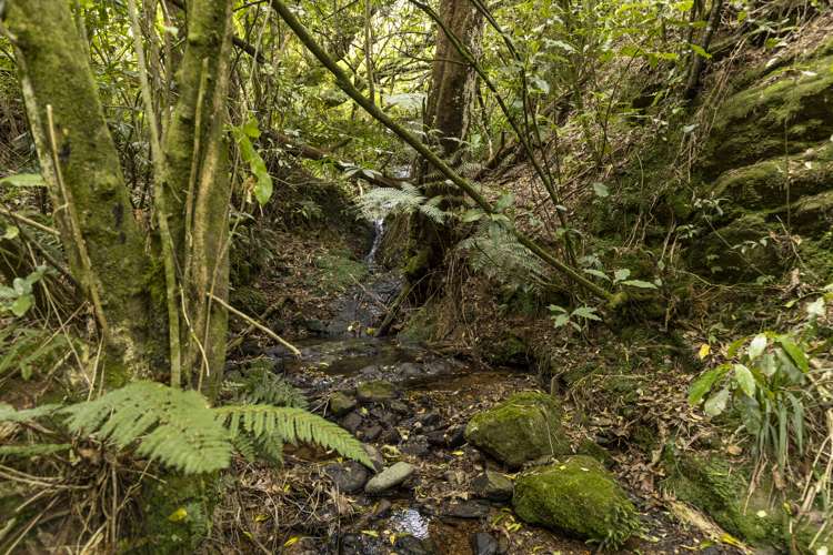 920 Wakamarina Road Havelock_36