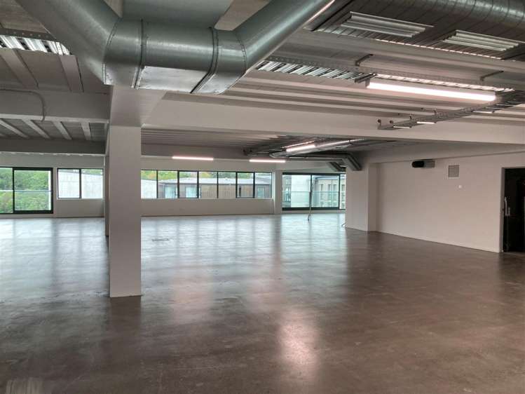 11-13 Falcon Street Parnell_4