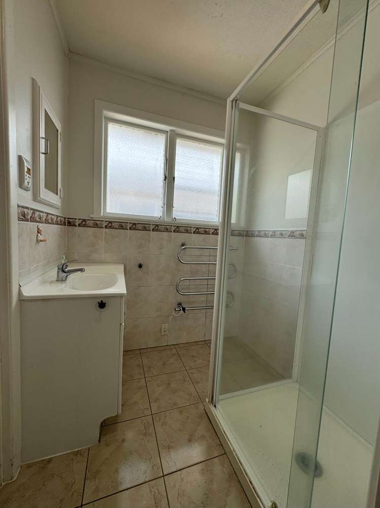 94 Webster Avenue Mt Roskill_9