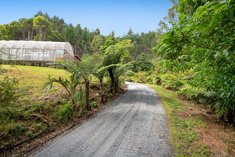 15b Wood Access Road Puhoi_10