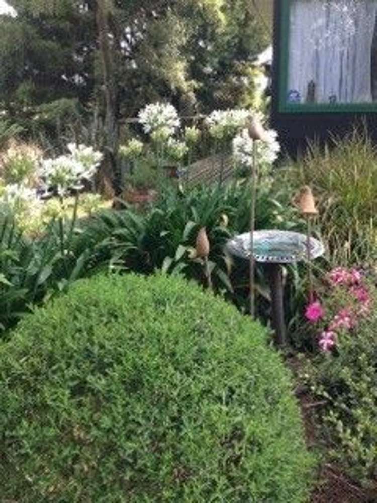 11 Sain Crescent Morrinsville_19