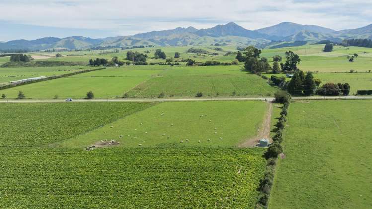 Tait Road Geraldine_13