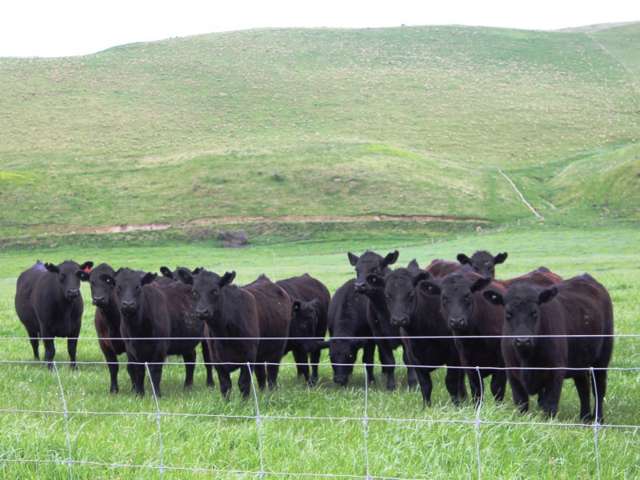 528 Ram Paddock Road Broomfield_1