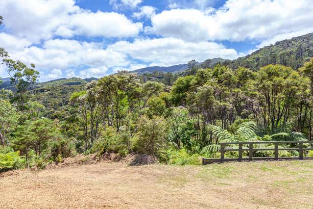 420 Bellville Drive Coromandel_3