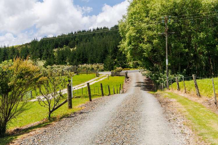 568 Tinopai Road Tinopai_24