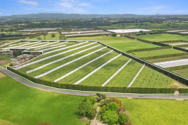 23 Wilson Road North Paengaroa_4