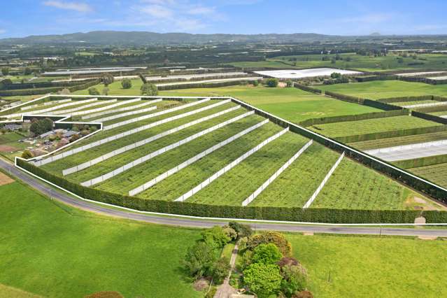 23 Wilson Road North Paengaroa_4