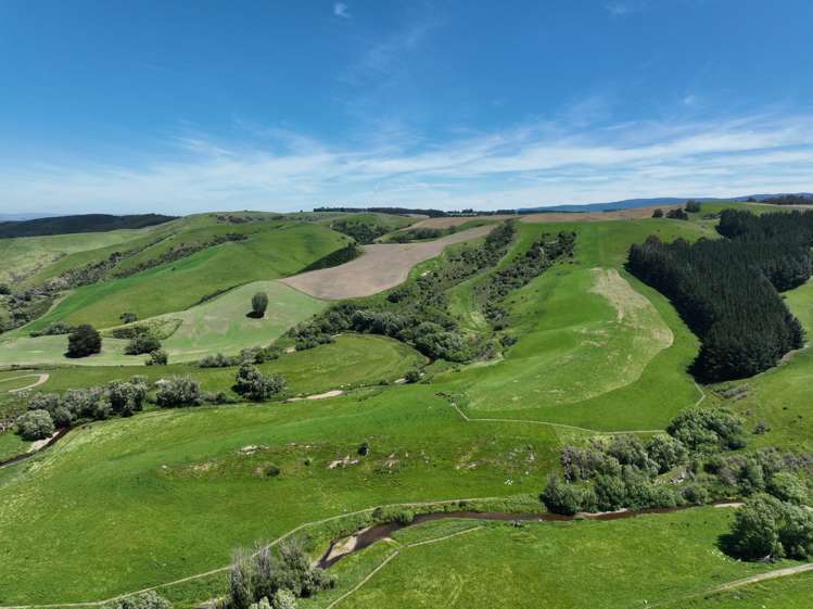 575 Tuapeka Flat Road Lawrence_6