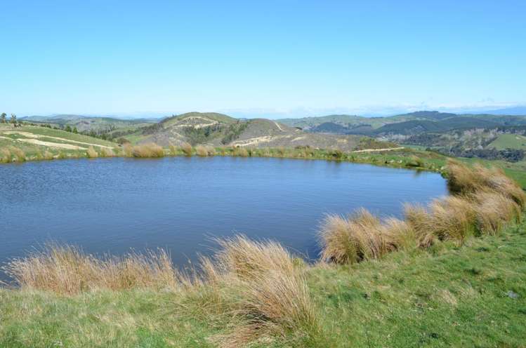 Mangapurupuru Road Bideford_4